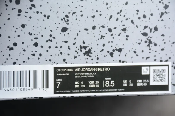 Nike Air Jordan 6 Retro 2021 Carmine CT8529-106 
