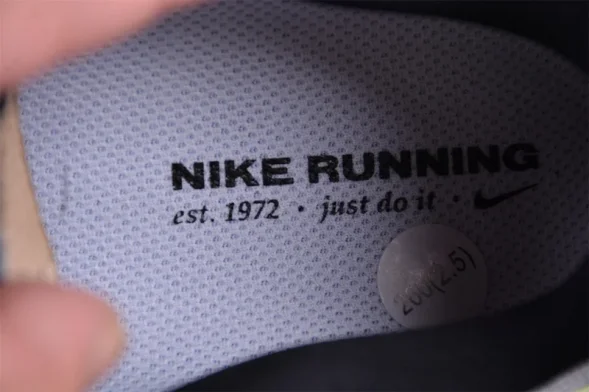 Nike Air Zoom Vomero 17 FB1309-001 