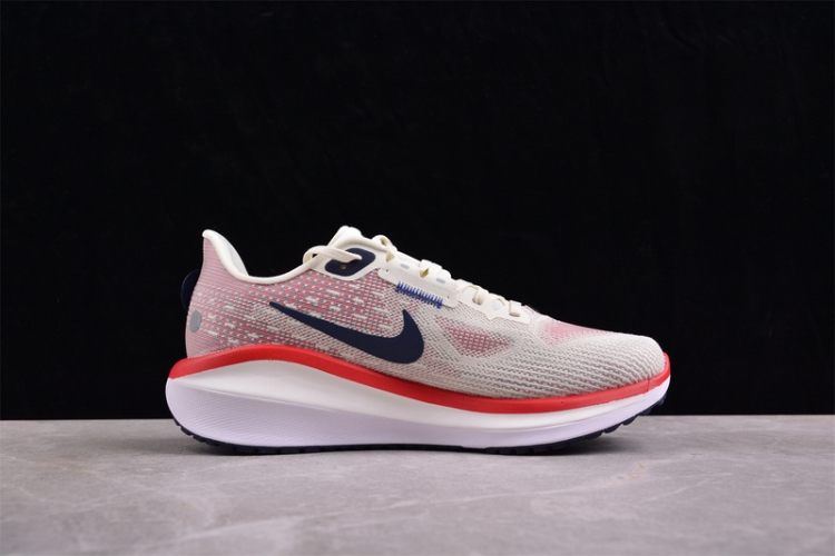 Nike Air Zoom Vomero 17 FB1309-003