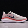 Nike Air Zoom Vomero 17 FB1309-003