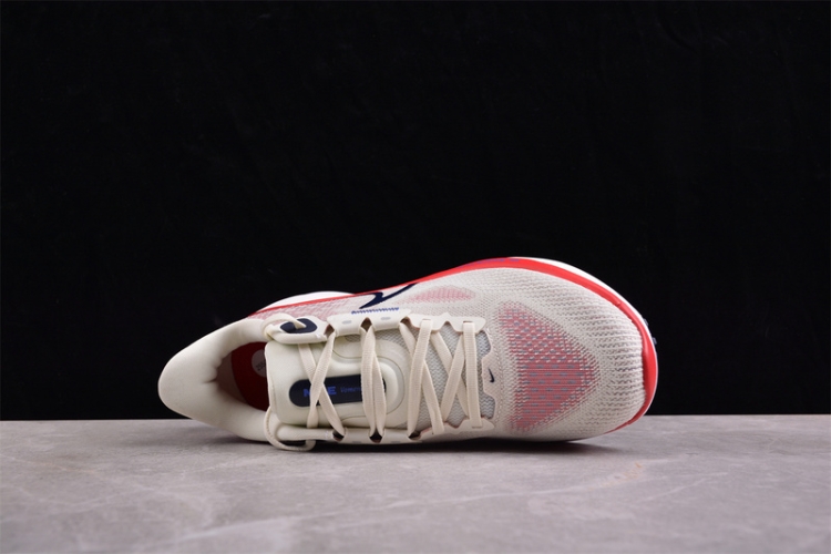  Nike Air Zoom Vomero 17 FB1309-003