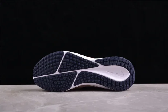 Nike Air Zoom Vomero 17 FB1309-003 