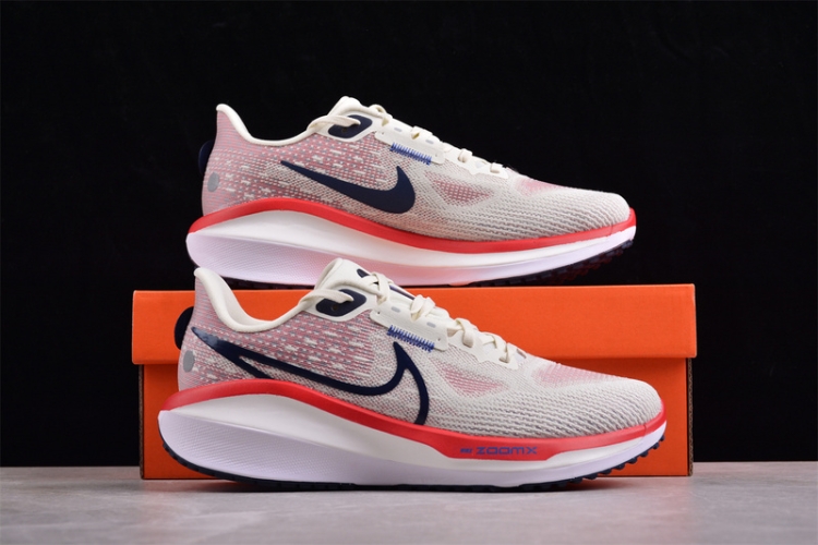 Nike Air Zoom Vomero 17 FB1309-003