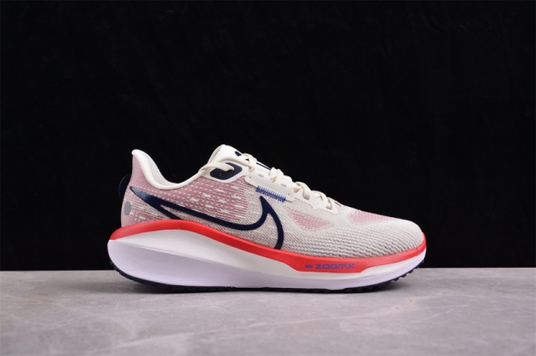 Nike Air Zoom Vomero 17 FB1309-003 