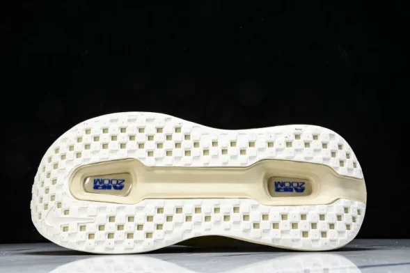 Nike Air Zoom Vomero Premium FN8453 025 