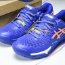 Asics Gel-Resolution 9 1041A384-960