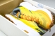 Hoka Mafate Speed X 1161990 ZTM 