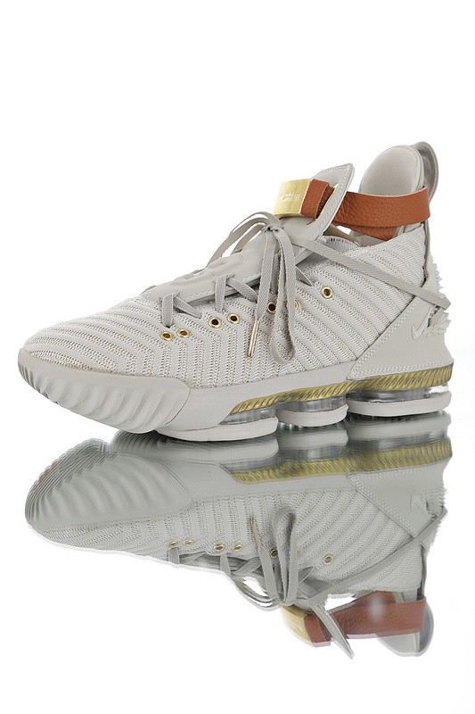 Nike Lebron 16 AO2595-601