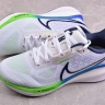 Nike Air Zoom Vomero 17 FB1309-100