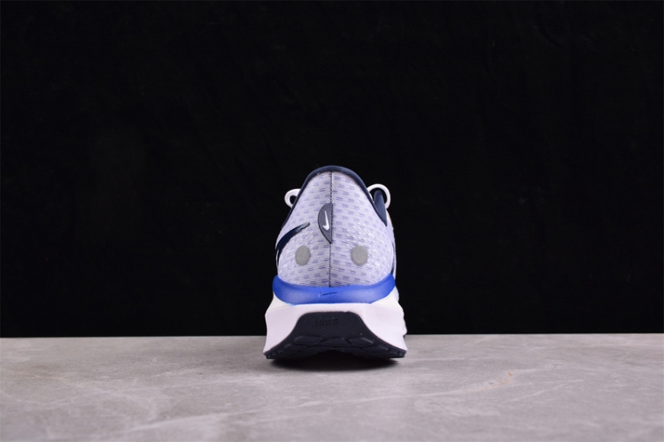  Nike Air Zoom Vomero 17 FB1309-100