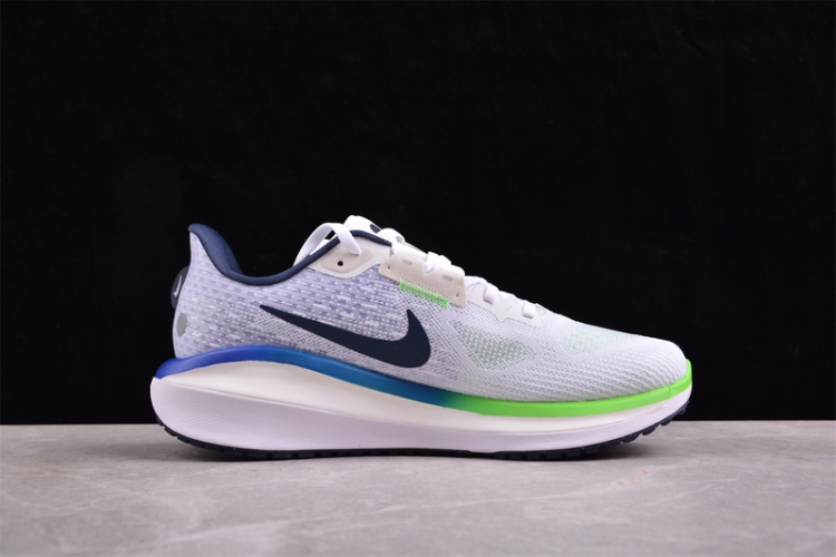  Nike Air Zoom Vomero 17 FB1309-100