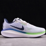 Nike Air Zoom Vomero 17 FB1309-100