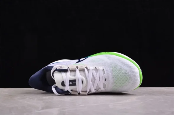 Nike Air Zoom Vomero 17 FB1309-100 