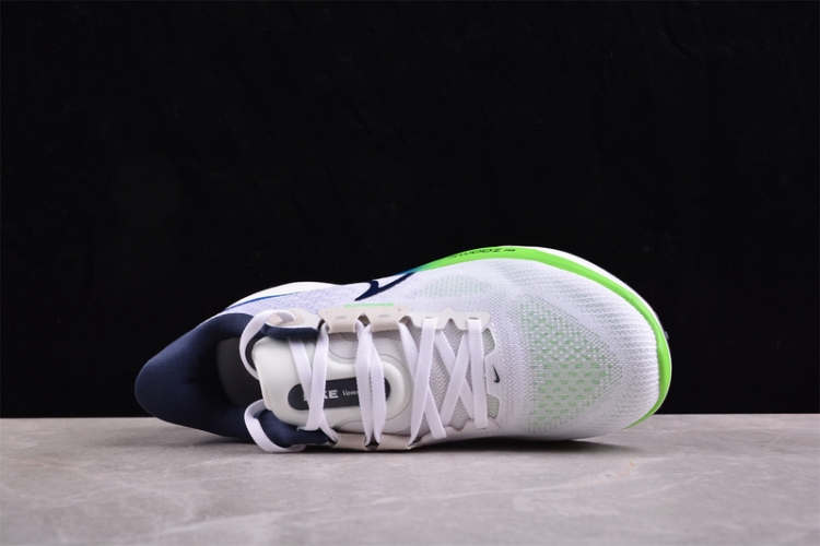  Nike Air Zoom Vomero 17 FB1309-100