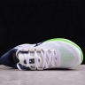 Nike Air Zoom Vomero 17 FB1309-100