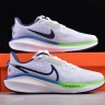 Nike Air Zoom Vomero 17 FB1309-100