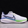 Nike Air Zoom Vomero 17 FB1309-100