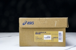 Asics Gel-Nimbus 26 1012B601-020