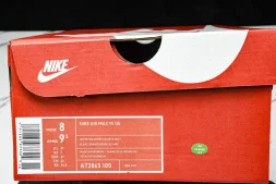 Nike Air Max 95 AT2865 100