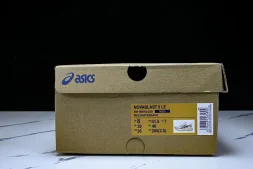 Asics Novablast 5 1011B974-250