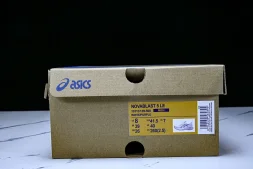 Asics Novablast 5 1011C139-500
