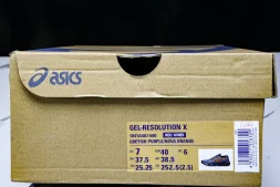 Asics Gel-Resolution X 1041A487-500
