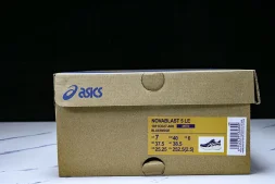 Asics Novablast 5 1011C027-400