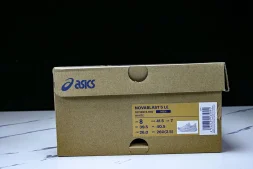 Asics Novablast 5 1011B974-100