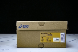 Asics Novablast 5 1012B909-100