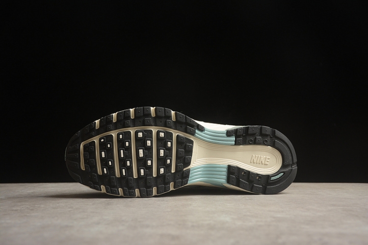  Nike P-6000 FN7509-029 