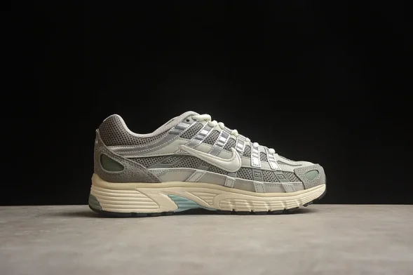 Nike P-6000 FN7509-029  