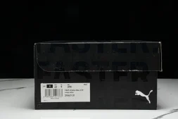 Puma FAST-R Nitro Elite 2 310621-01