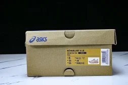 Asics Novablast 5 1012B765-700
