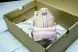 Asics Novablast 5 1012B765-700 