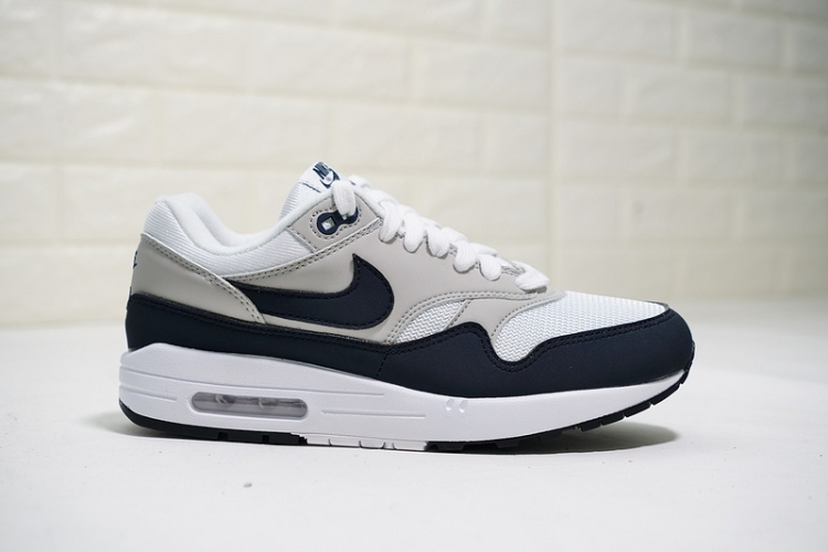 Nike Air Max 1 OG Anniversary 319986-104