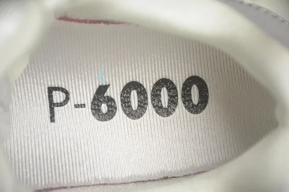 Nike P-6000 CN0149-001 
