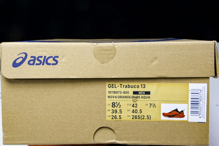 Asics Gel-Trabuco 13 1011B973-800