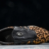 KITH x adidas Taekwondo Mei JS0298