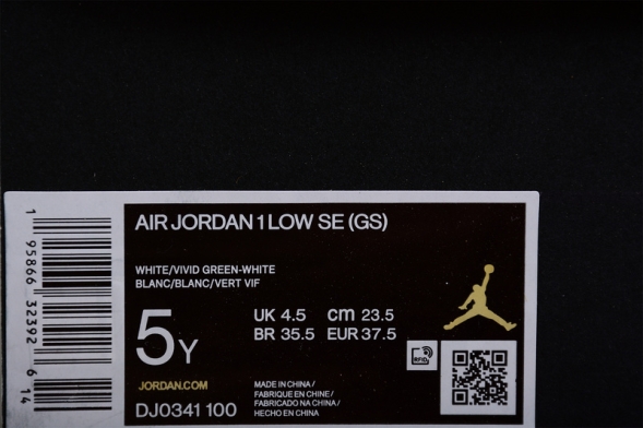 Nike Air Jordan 1 low DJ0341-100 