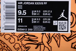 Nike Air Jordan 37 Jayson Tatum DZ0811-200