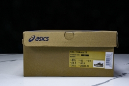 Asics Gel-Trabuco 13 1011B973-020