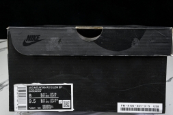 Nike ACG Mountain Fly 2 Low SP FZ3311 100