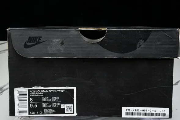Nike ACG Mountain Fly 2 Low SP FZ3311 100 