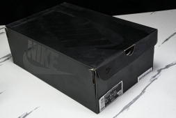 Nike ACG Mountain Fly 2 Low SP FZ3311 100