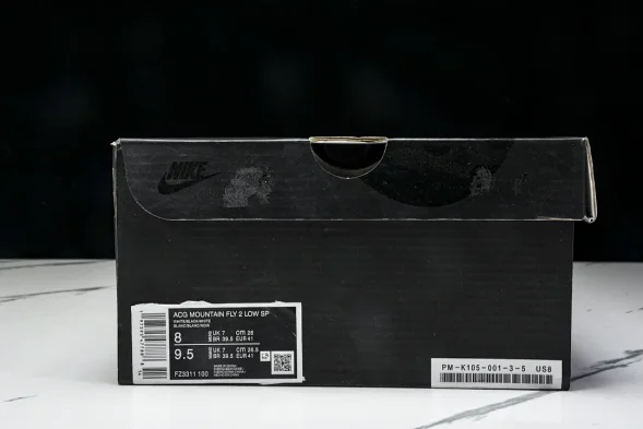 Nike ACG Mountain Fly 2 Low SP FZ3311 100 
