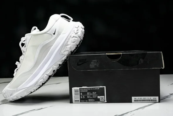 Nike ACG Mountain Fly 2 Low SP FZ3311 100 