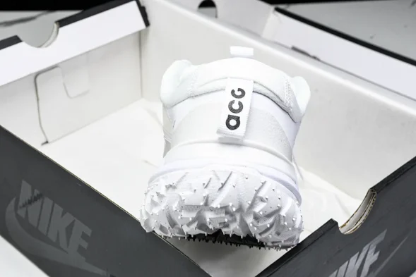 Nike ACG Mountain Fly 2 Low SP FZ3311 100 