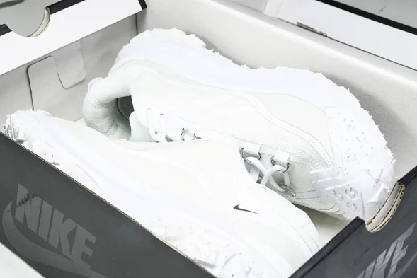 Nike ACG Mountain Fly 2 Low SP FZ3311 100 