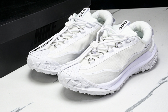 Nike ACG Mountain Fly 2 Low SP FZ3311 100 