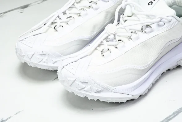 Nike ACG Mountain Fly 2 Low SP FZ3311 100 